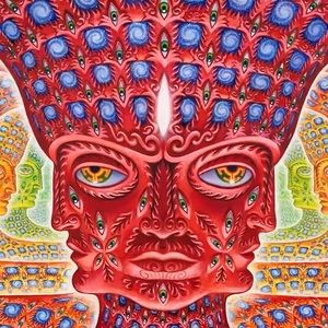 Meet your Posher, Ashton